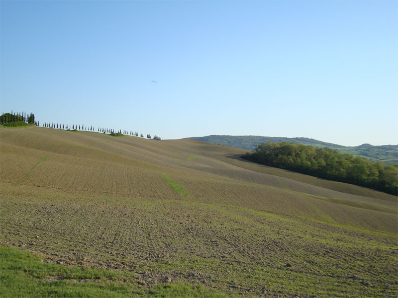 gal/2010/08 - Primavera_Estate_2010/ville_petroni2-01.jpg